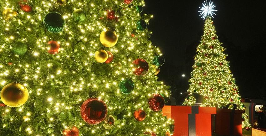 南方今年开始了一个新的传统，在学生服务路和美国南路点亮了两棵32英尺高的圣诞树.